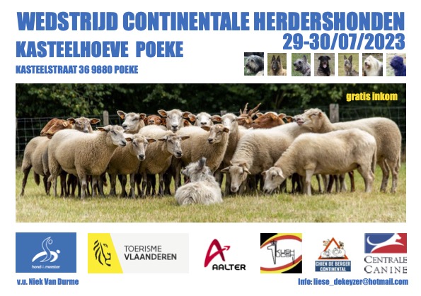 Wedstrijd continentale herdershonden in Kasteelhoeve Poeke