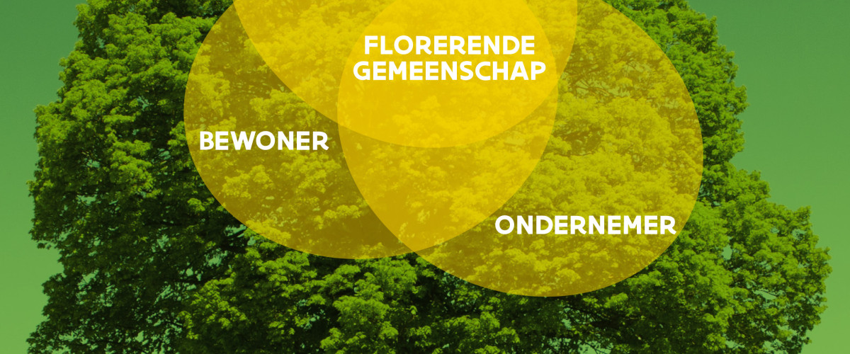 Lindeboom Lindeboom