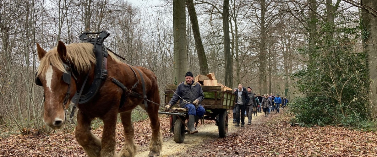 Vrijwilligers