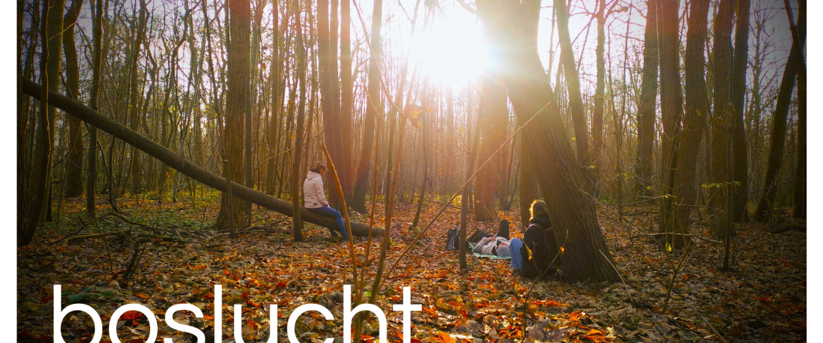 Boslucht 2026